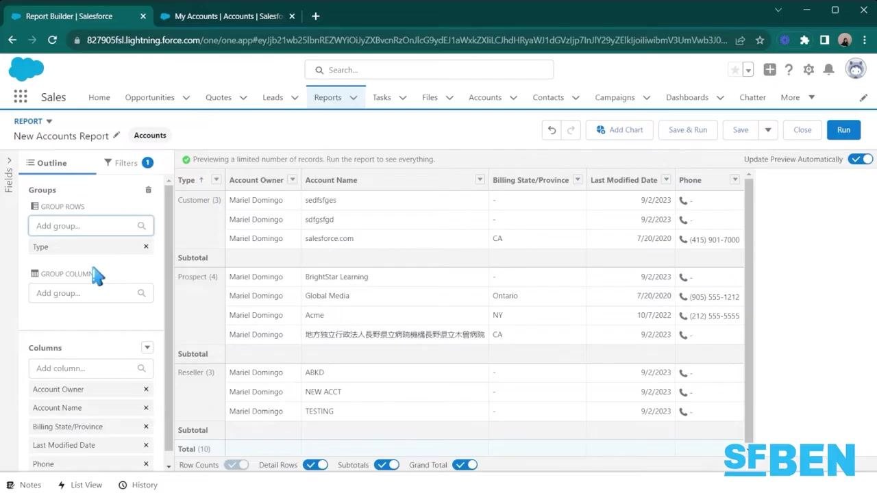 Salesforce Report Builder with data grouped by "Type," showing Customer, Prospect, and Reseller sections with subtotals