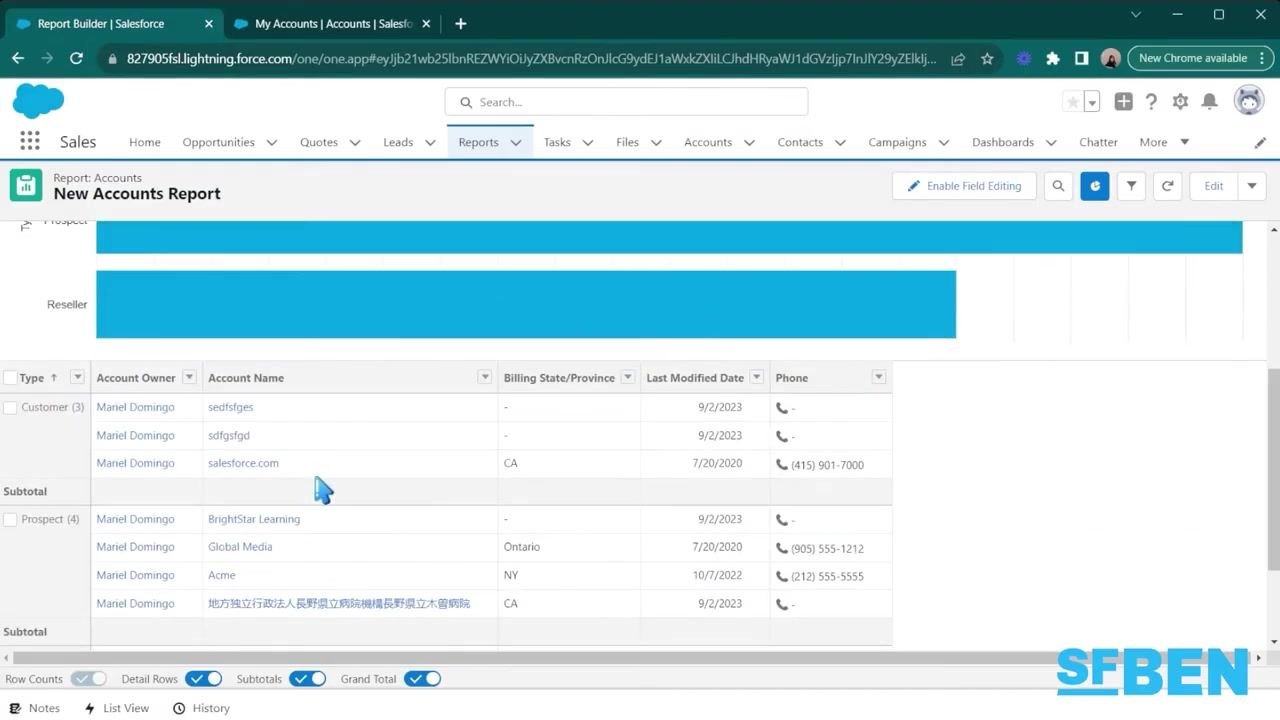 Salesforce report with a bar chart visualizing account types and record counts, with the export option visible