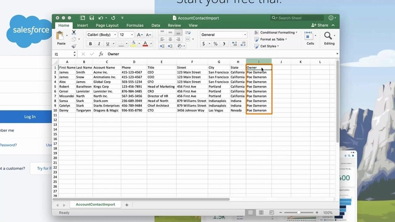 Excel spreadsheet with the Owner column filled in, ready to be saved