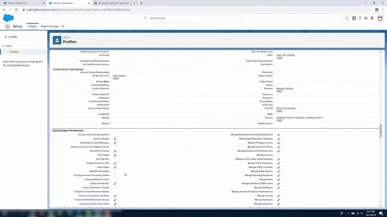 Salesforce Profiles page showing administrative permissions including API Enabled and Bulk API Hard Delete