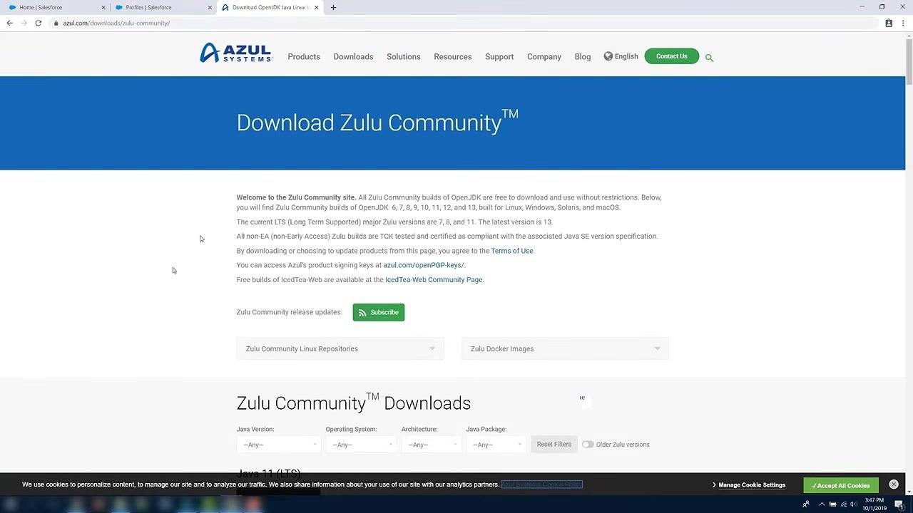 Azul Zulu Community download page with options for Java versions and operating systems