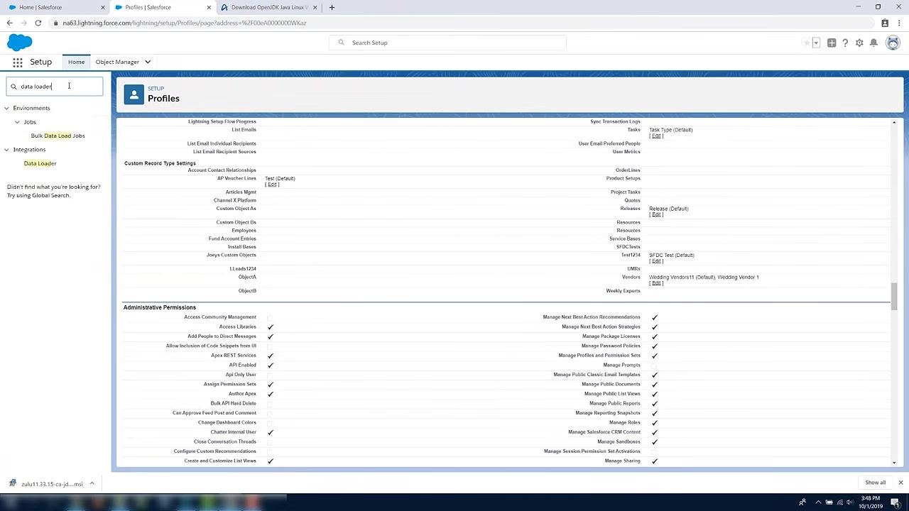 Salesforce Setup page with the Data Loader link highlighted in the sidebar and the Profiles page visible