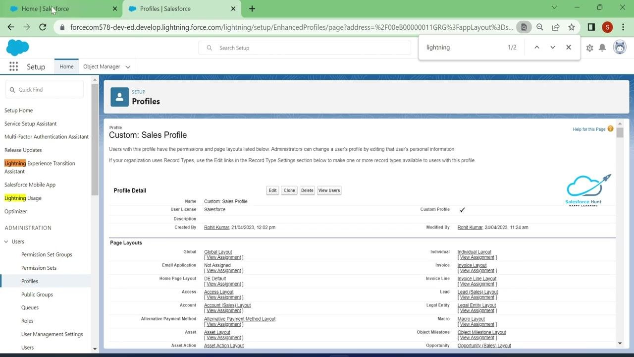 Salesforce Profiles page showing the Lightning Experience User checkbox unchecked in the Custom Sales Profile permissions