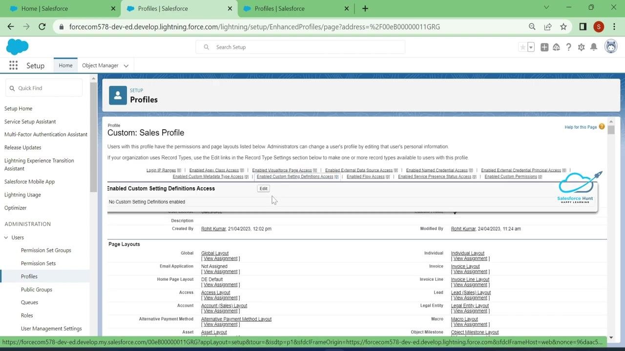 Salesforce Custom Sales Profile page with the Edit button highlighted