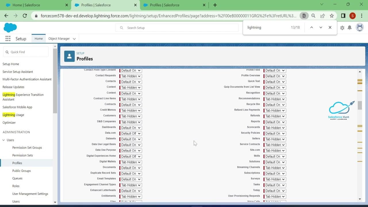 Salesforce Profiles permissions page showing Lightning-related permissions and checkboxes