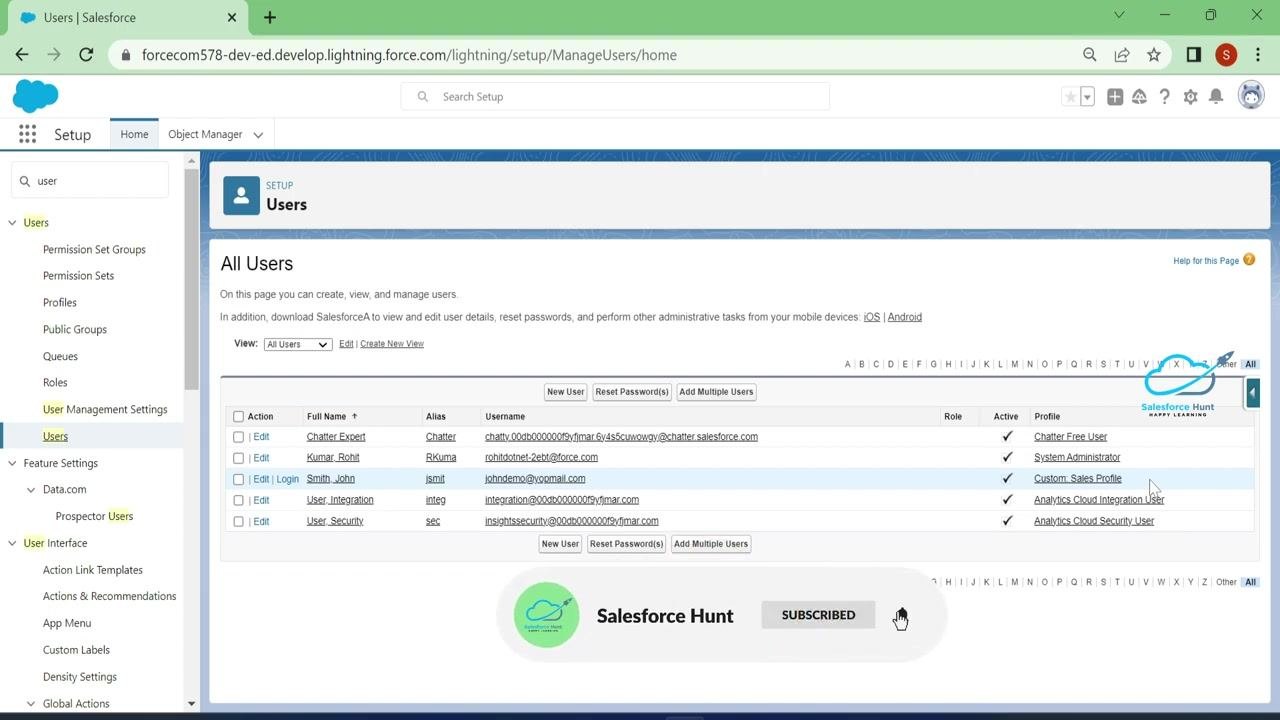 All Users page in Salesforce Setup listing users with their roles and profiles