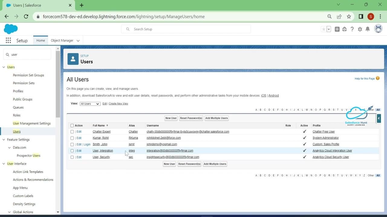 All Users page with the test user highlighted and the Custom Sales Profile visible
