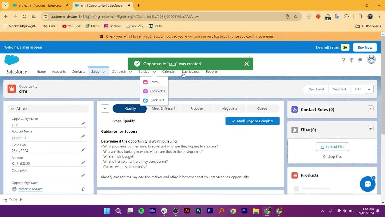 Salesforce Opportunity summary page showing stage progression, contact roles, and opportunity details