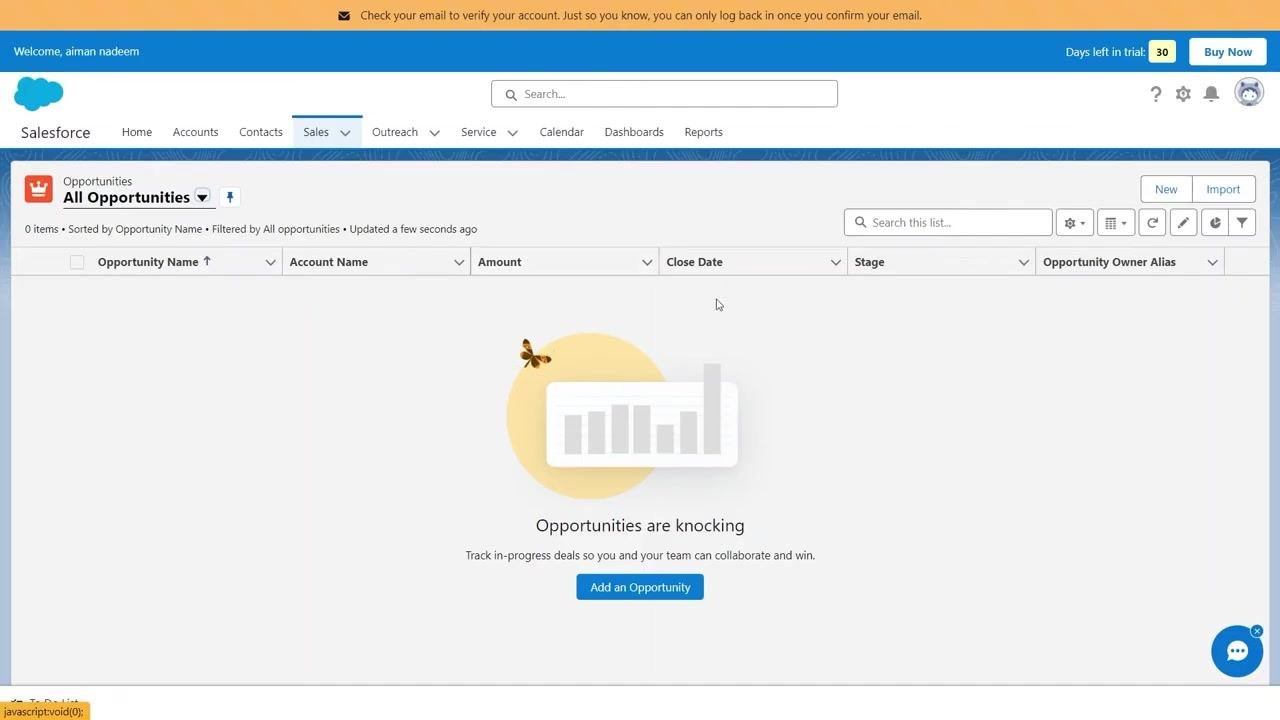 Salesforce New Opportunity form with fields for name, account, amount, close date, stage, probability, forecast category, next step, and description