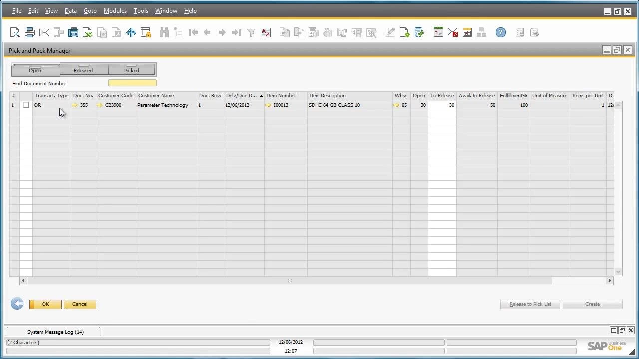 Pick and Pack Manager window displaying transaction details for Parameter Technology, including item, quantity, warehouse, and fulfillment status