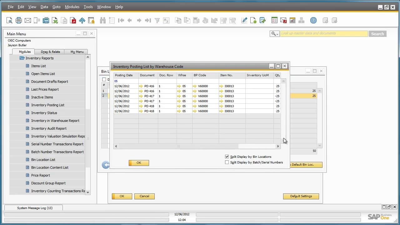Bin Location Content List - Selection Criteria window with the user clicking OK to run the report