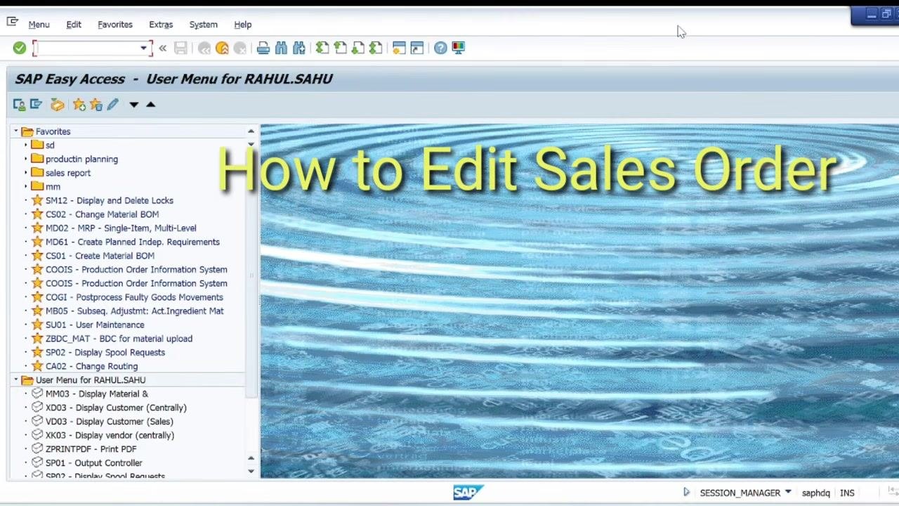 Document listing the editable fields in a sales order: customer name, quantity, material, amount, plant, and additional fields, along with transaction code VA02.