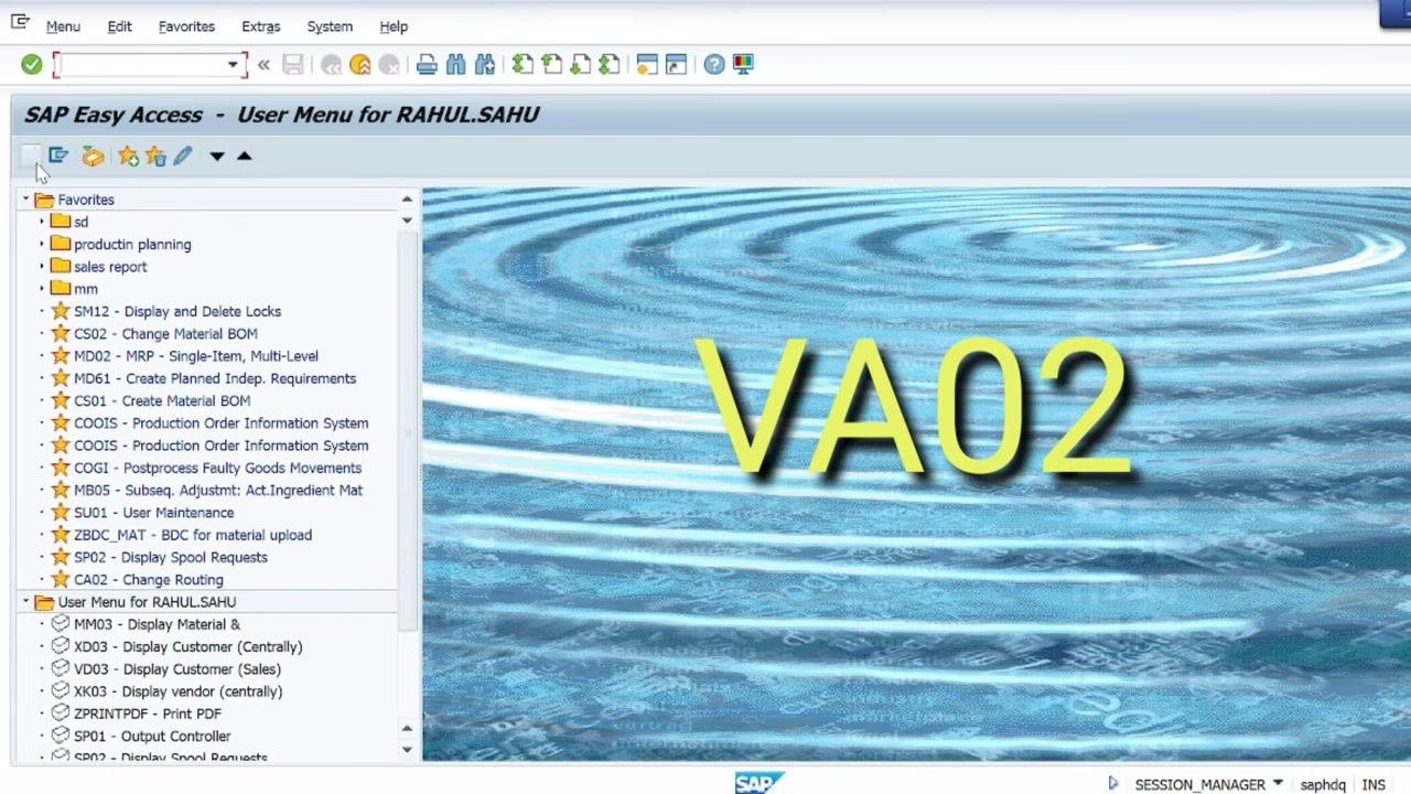 SAP Easy Access screen with VA02 entered as the transaction code for editing sales orders.