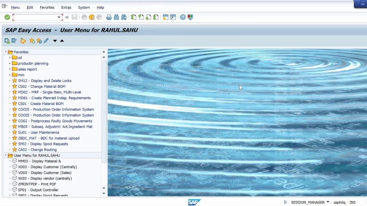 SAP Change Sales Document screen with fields for Order, Purchase Order No., Sold-to party, Delivery, Billing Document, WBS Element, and Material, along with tabs for Sales, Item Overview, Ordering Party, Characteristics, and Orders.