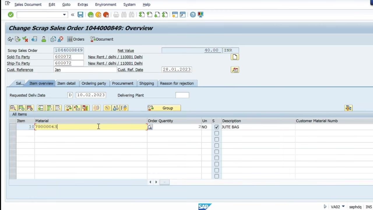 SAP Overview screen with the Sold-To Party field being edited.