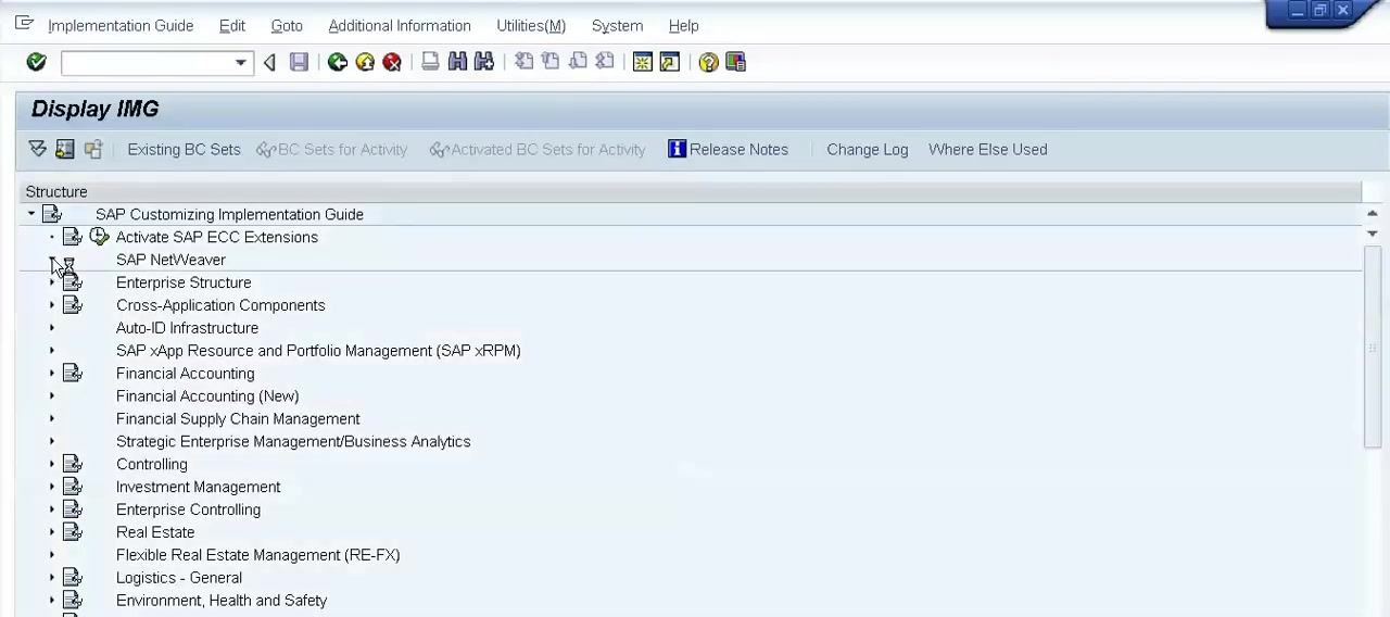 Customizing: Execute Project screen with My Customizing Worklist and the Manage Worklist button