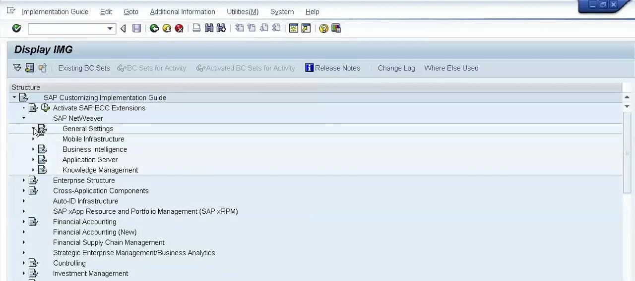 Display IMG screen with SAP NetWeaver and General Settings expanded in the structure tree