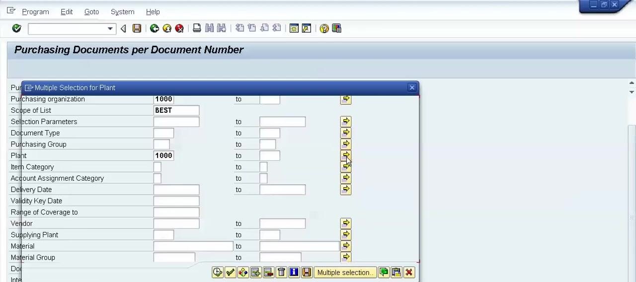 Multiple Selection for Plant dialog open on the Purchasing Documents per Document Number screen, with plant code 1000 entered