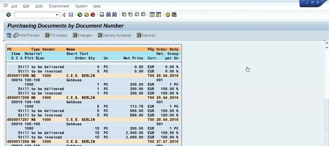 Purchasing Documents per Document Number screen with material 100-100 entered, ready to execute the search
