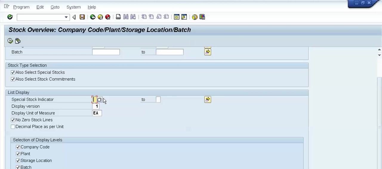 Cursor positioned in the Special Stock Indicator field in the List Display section