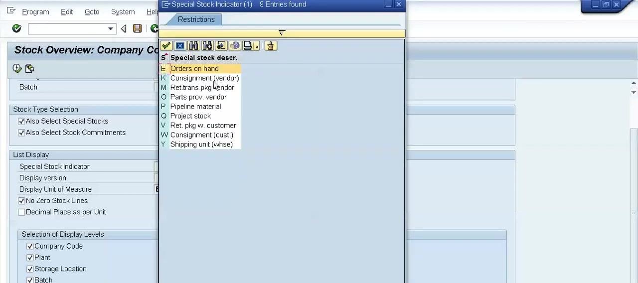Stock Overview screen with focus on the Special Stock Indicator field and related selection options