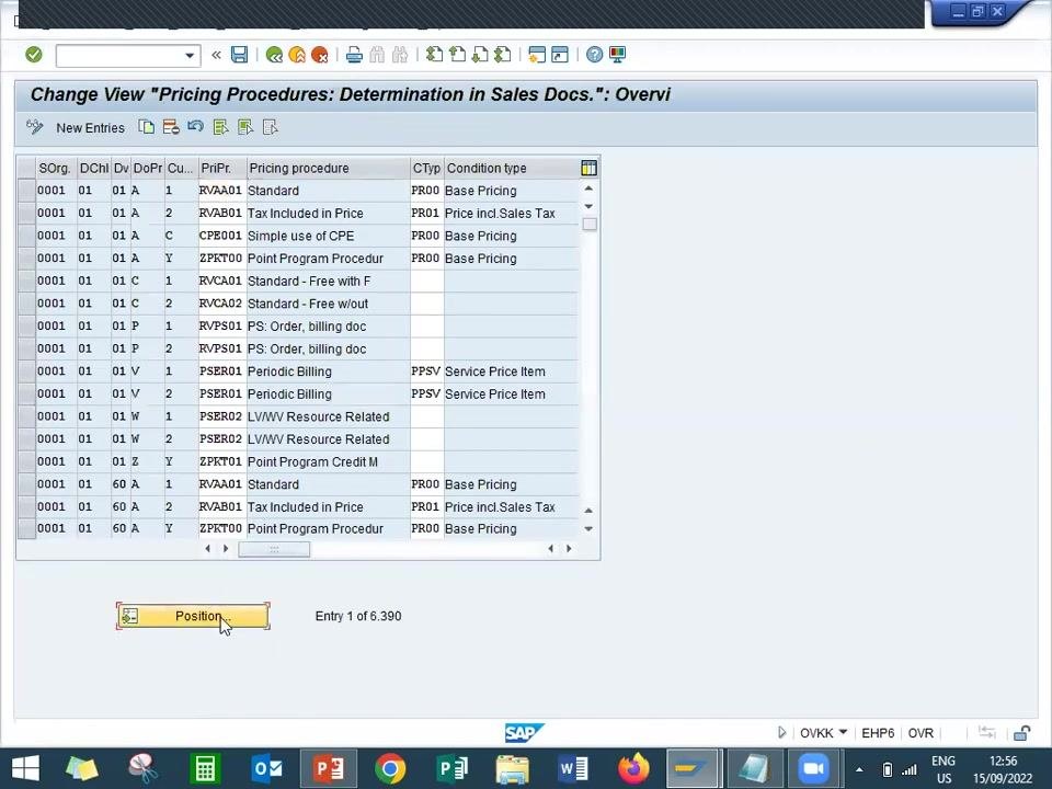 SAP screen showing the overview of pricing procedure determination in sales documents, with a list of assignments and the Position button