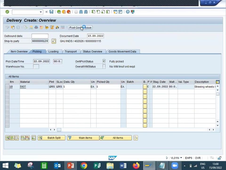 Delivery Create Overview screen with all delivery and picking details filled in, ready for Post Goods Issue