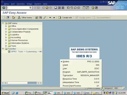 SAP Easy Access screen showing the SAP menu and system information