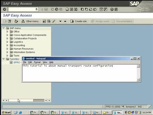 Transport Management System screen confirming the domain is already configured