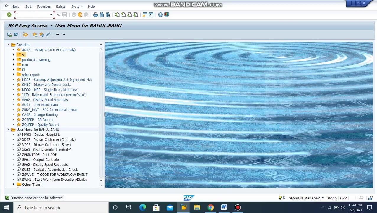 SAP Easy Access screen showing the user menu, favorites, and navigation panel