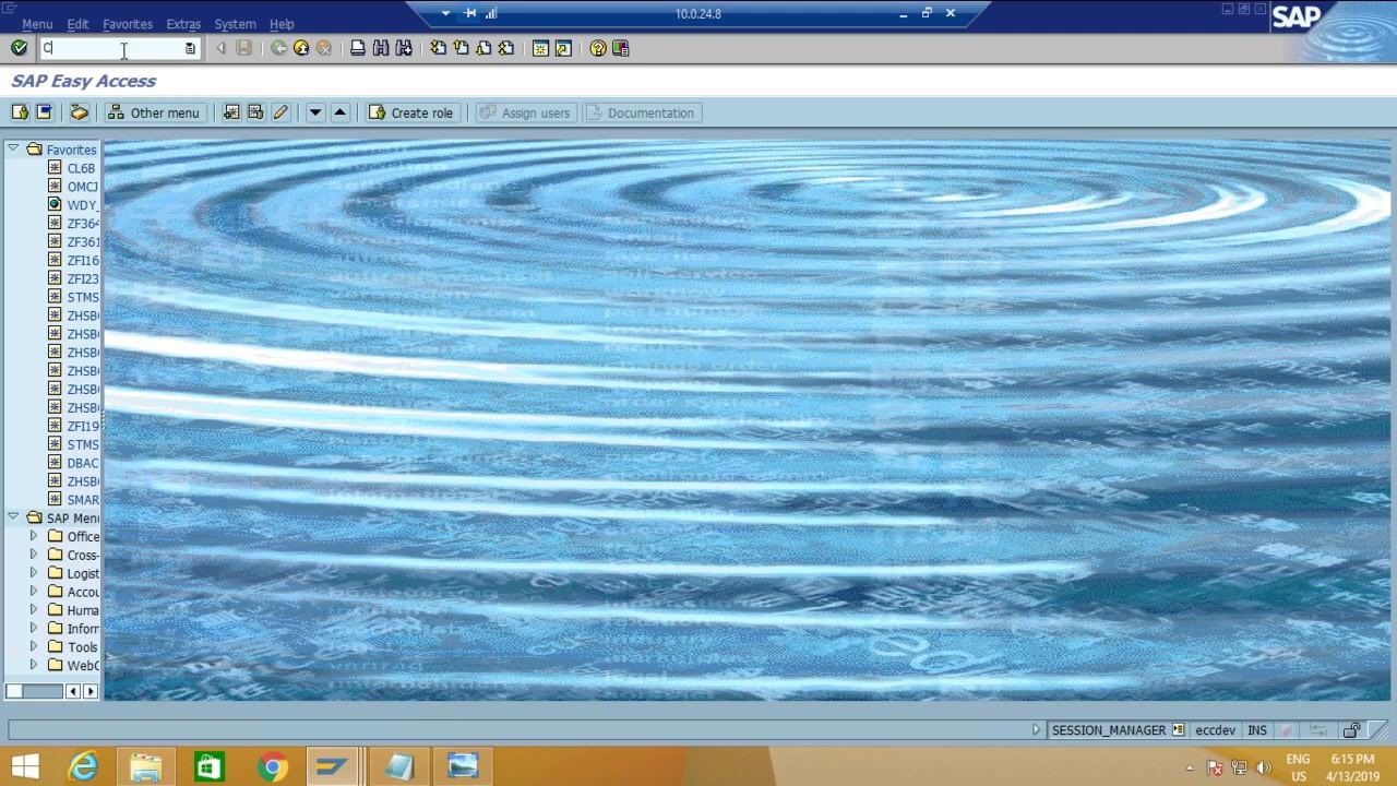 SAP Easy Access screen with the command field active, ready for transaction code entry.