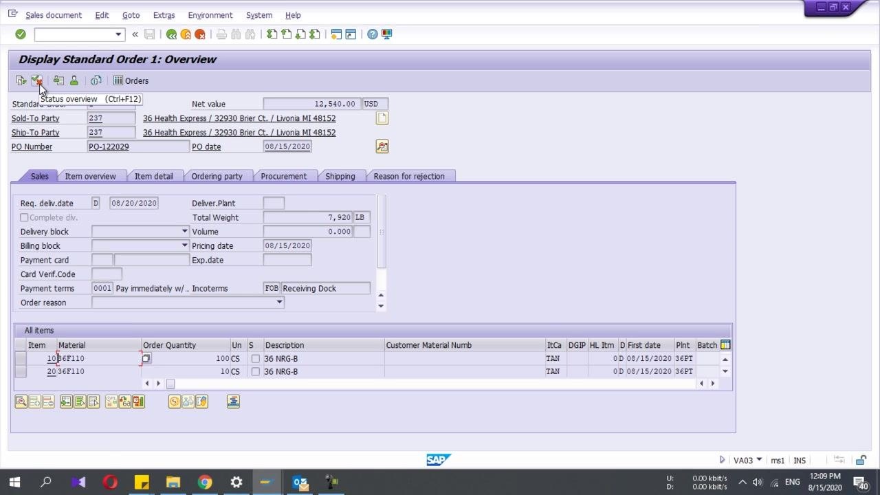 Display Standard Order: Overview screen showing item 10 (36F110, 100 CS, 36 NRG-B) and item 20 (36F110, 10 CS, 36 NRG-B) with order details