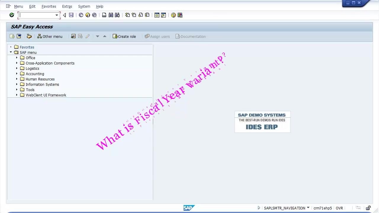SAP Easy Access main menu with command field and navigation tree visible