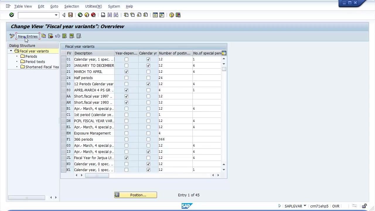 Fiscal year variants overview with the New Entries button highlighted