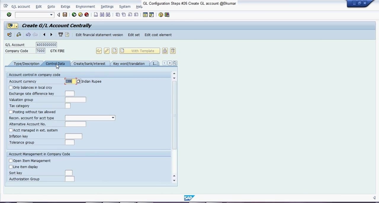 Control Data tab open, showing Account currency set to INR, Line item display checked, and Sort key being entered