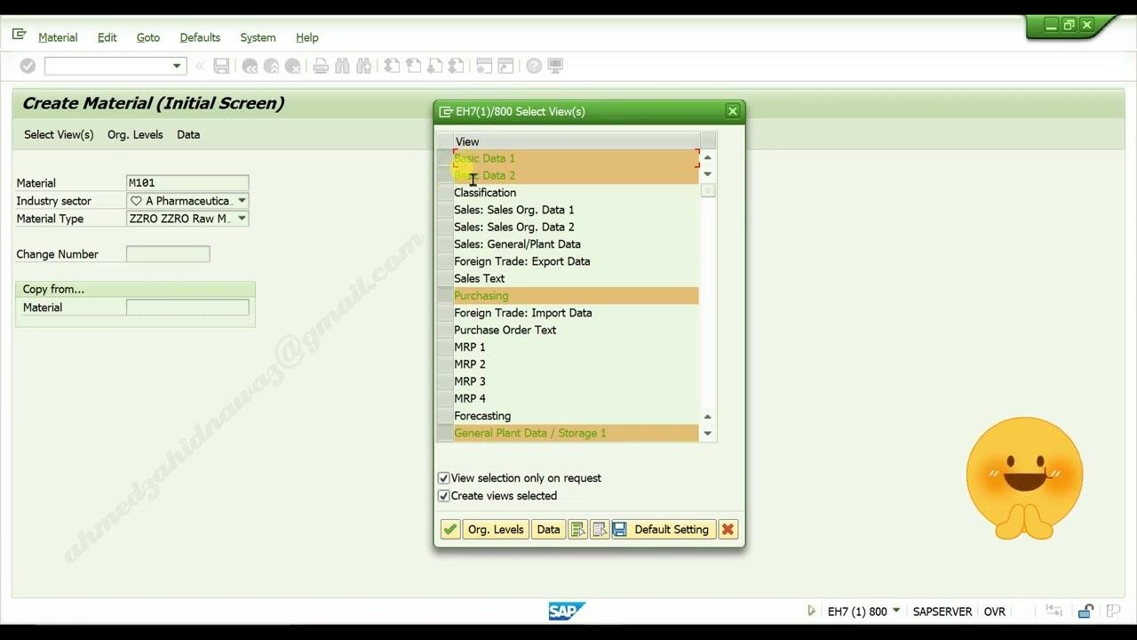 Select View(s) dialog with Basic Data 1, Basic Data 2, Purchasing, and General Plant Data views selected