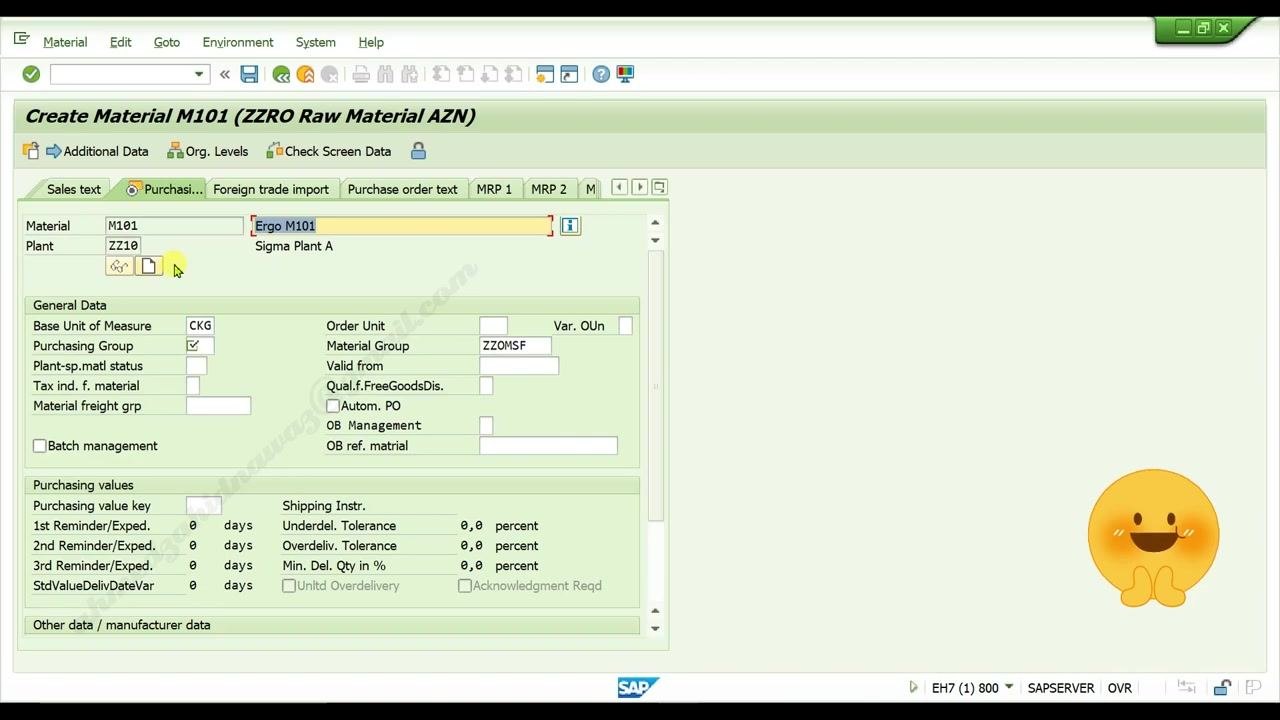 All fields filled on the Basic data 1 tab, ready to press Enter to confirm entries