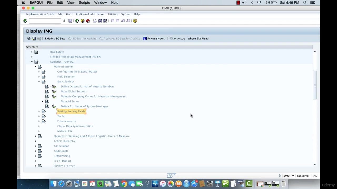 SAP GUI Display IMG screen with Material Master > Basic Settings > Material Types expanded, and the Settings for Key Fields option highlighted.