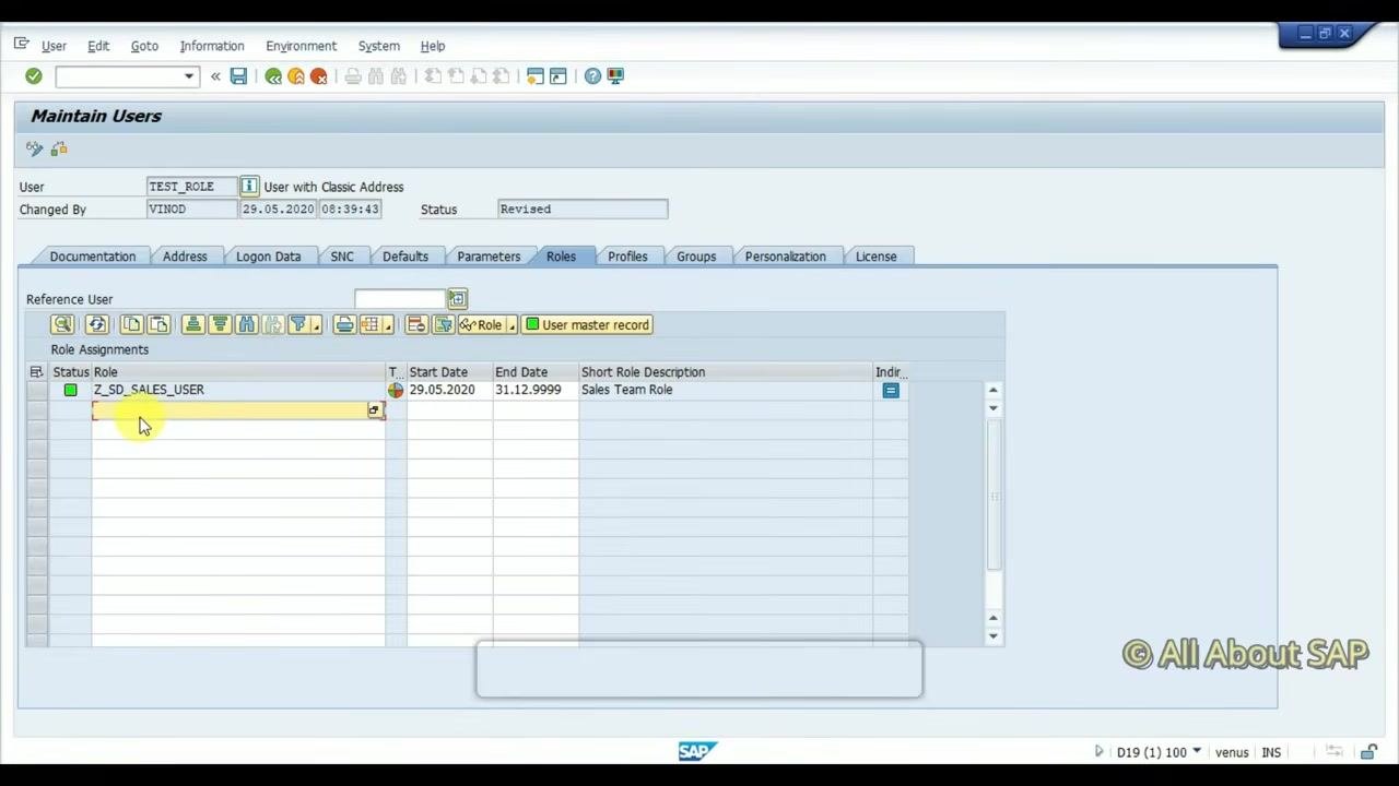 Maintain Users screen, Roles tab, with Z_SD_SALES_USER assigned, start and end dates, and description "Sales Team Role".
