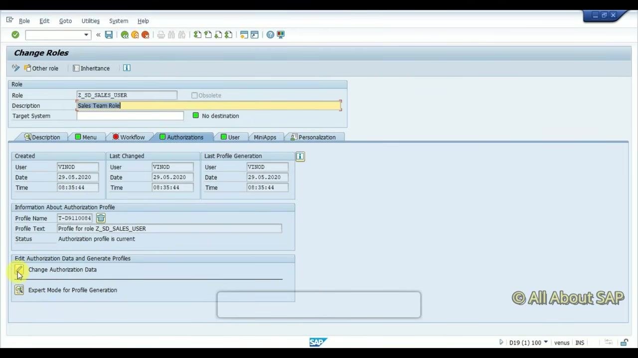 Role Maintenance screen with Z_SD_SALES_USER selected in the Role field, dropdown visible, and Sales Team Role as description.