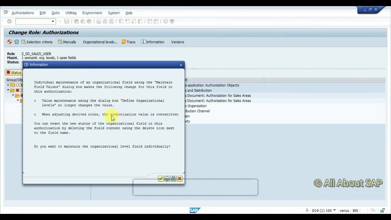 Information popup about maintaining the organizational level field individually, with the Change Role: Authorizations screen in the background and details on value maintenance and derived roles.