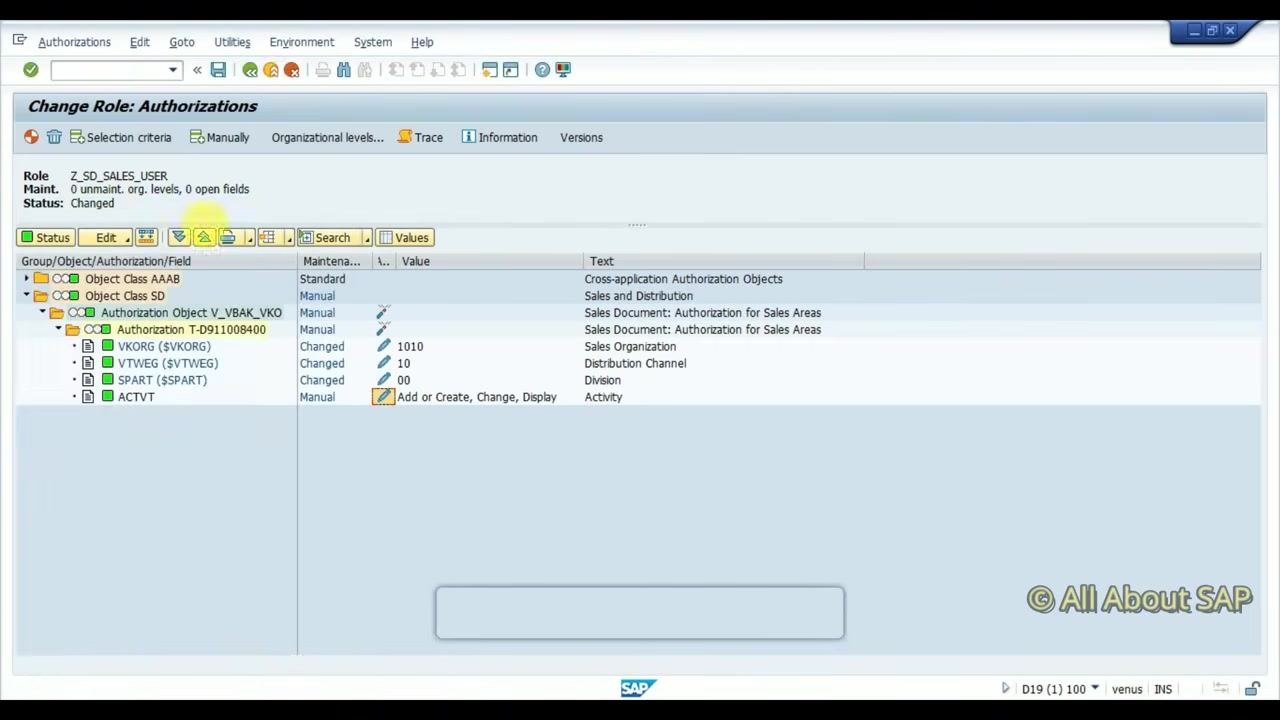 Authorization object fields with values: VKORG 1010, VTWEG 10, SPART 00, ACTVT showing Add, Create, Change, Display.