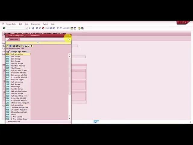 SAP Easy Access main menu after completing the verification steps