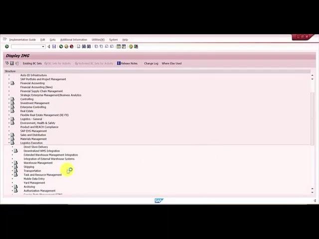 Command field being used to enter the SPRO transaction code