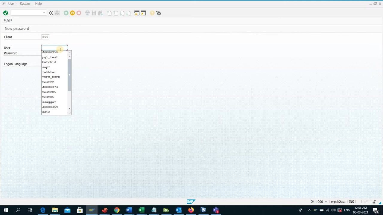 SAP logon screen with fields for Client (800), User (dropdown open), Password (masked), and Logon Language (EN)