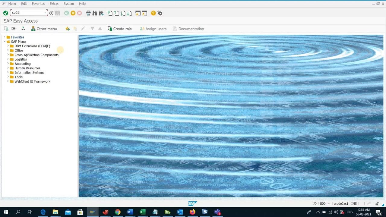 SAP Easy Access screen with transaction code 'su01' entered in the command field
