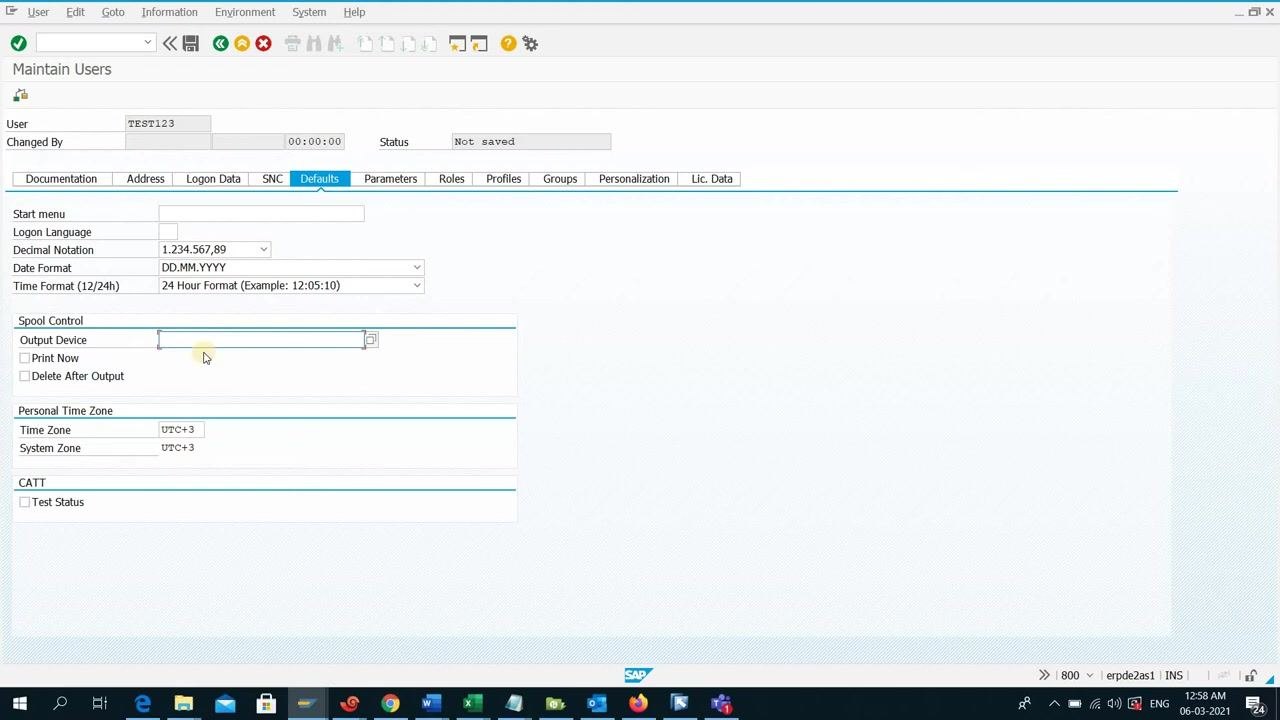 Defaults tab with fields for logon language, decimal notation, date format, time format, output device, and time zone