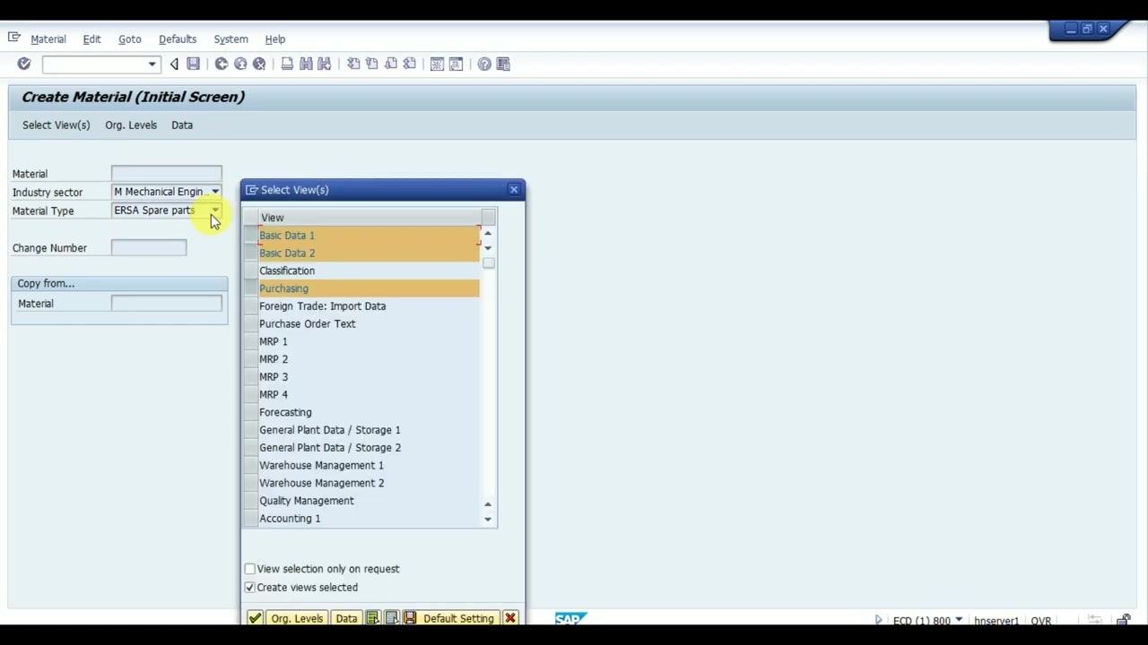 SAP GUI main screen showing Customizing: Execute Project, an empty worklist, and the navigation bar