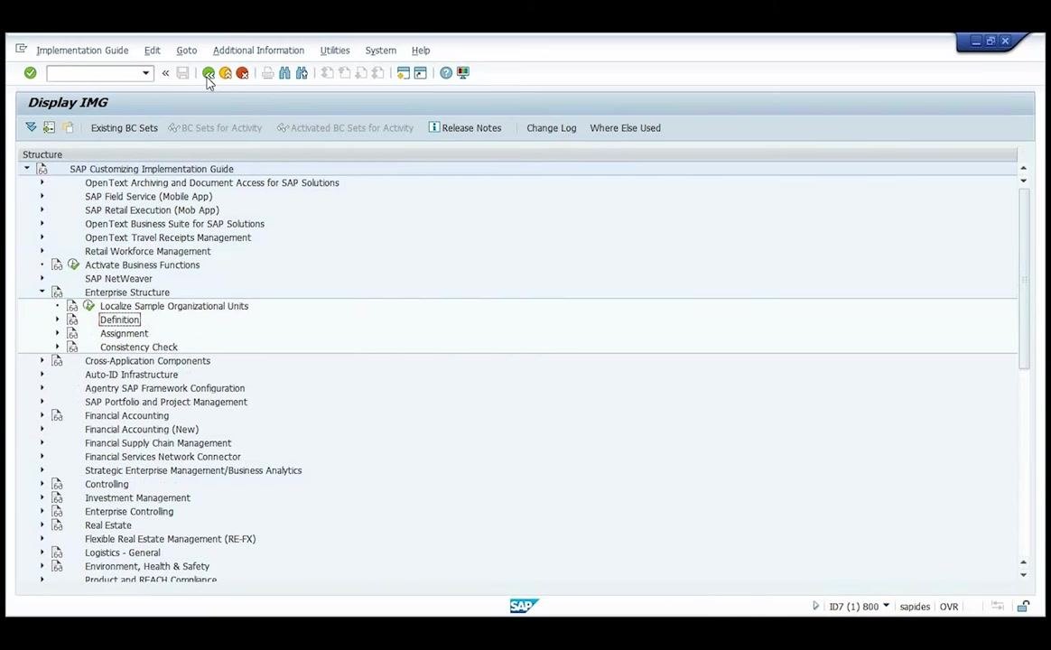 SAP IMG screen showing Enterprise Structure > Assignment with Definition, Assignment, and Consistency Check options