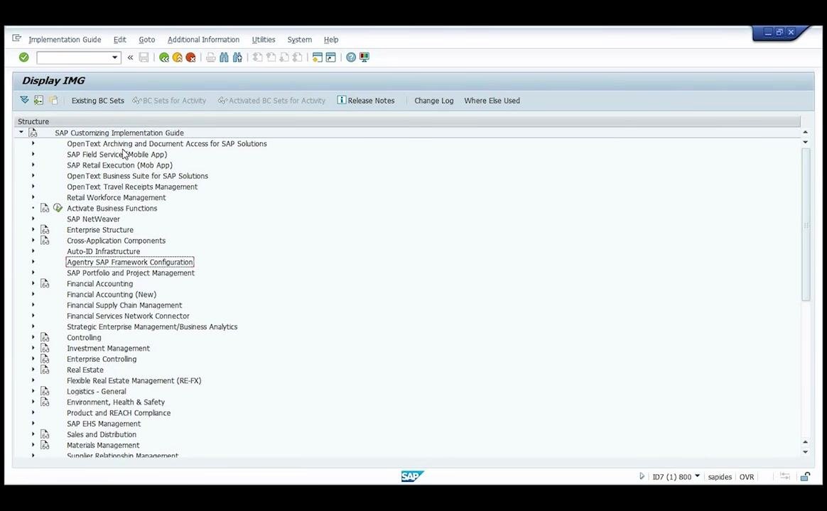 Purchasing section expanded in the Display IMG, showing 'Create Purchasing Groups'